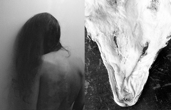 Grant Willings "Svart Metall"