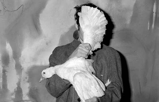 ROGER BALLEN "Asylum of the Birds" @ Christophe Guye Galerie, Zurich