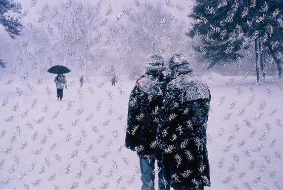 Melissa Zexter's Embroidered Photography