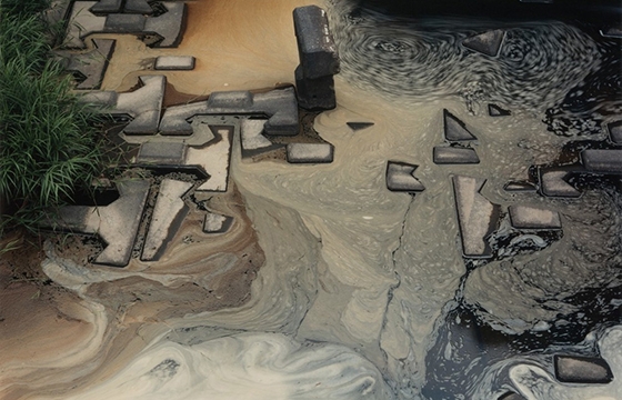 The work of Toshio Shibata