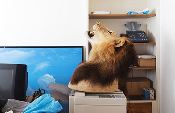 Louis de Belle  - Failed Dioramas