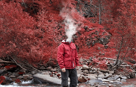 Francisco Reina's 'Altered States'