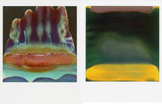 "Ruined Polaroids" by William Miller