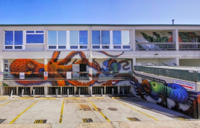 Recap: Sea Walls San Diego image