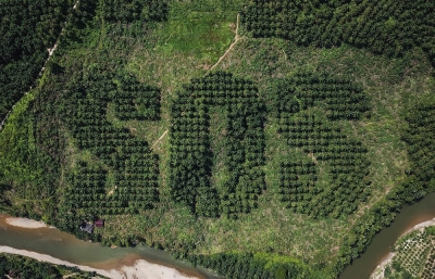 Environmental Artist Ernest Zacharevic Carves An Emergency Message Into A Sumatran Palm Plantation image