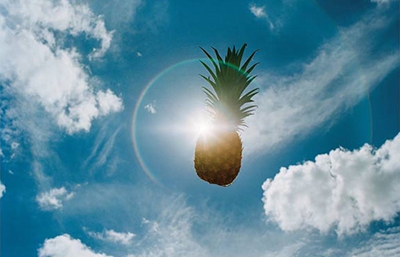 Aperture’s 2016 Summer Open Proves the Magic of Photography