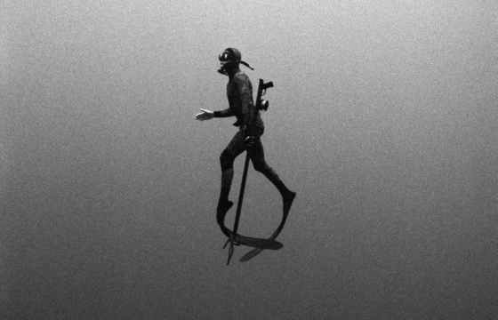 Free Dive: Kanoa Zimmerman's Underwater Photographs