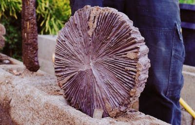 Nicholas Pourfard and Michael Upton's Earthcasted Works image