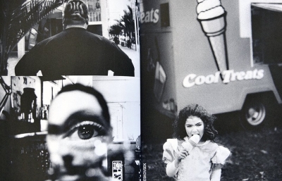 Hamburger Eyes No. 32: The Continuing Story of Life on Earth image