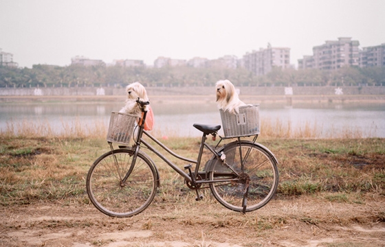 Photographs by Zhang Xiao