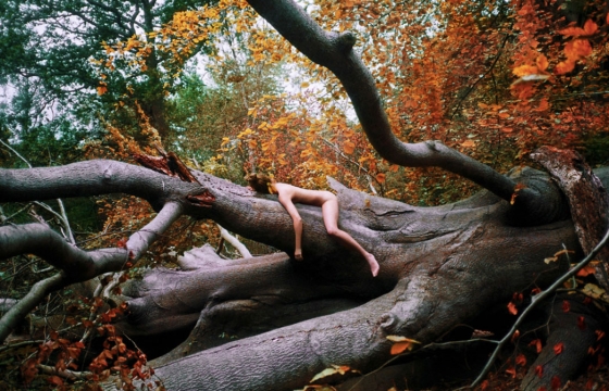 Hollie Fernando Takes You On A Trip to Nature (NSFW)