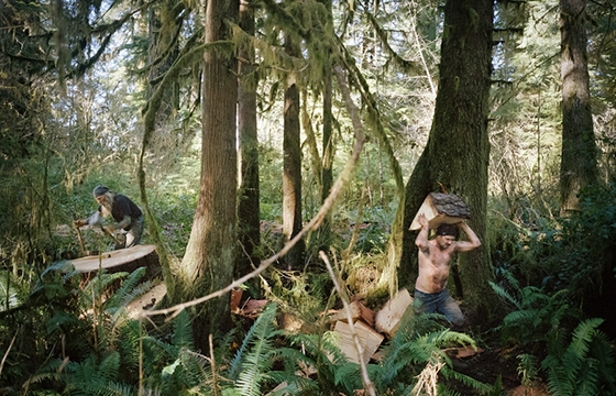 "Sylvania" by Anna Beeke