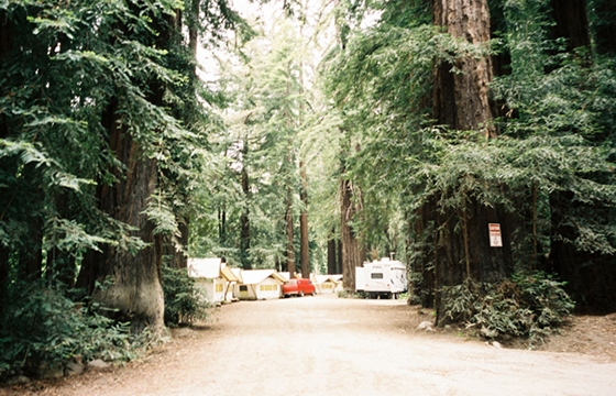 Taylor McCutchan’s “Golden State”