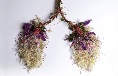 Eye Heart Spleen: Human Organs Made from Plants by Camila Carlow image