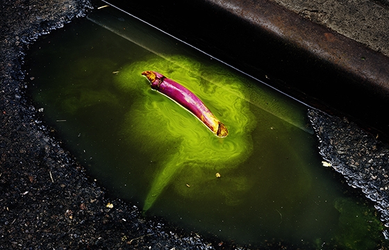 "INFINITE EARTHS" @ Slow Culture