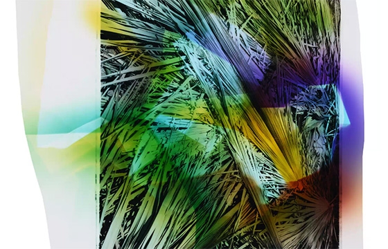 "Full Bloom" @ Nextlevel Gallery