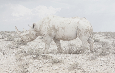 Maroesjka Lavigne: Land of Nothingness @ Robert Mann Gallery image