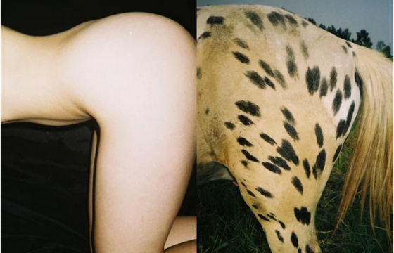 Bodies and Nature by Chong Chen