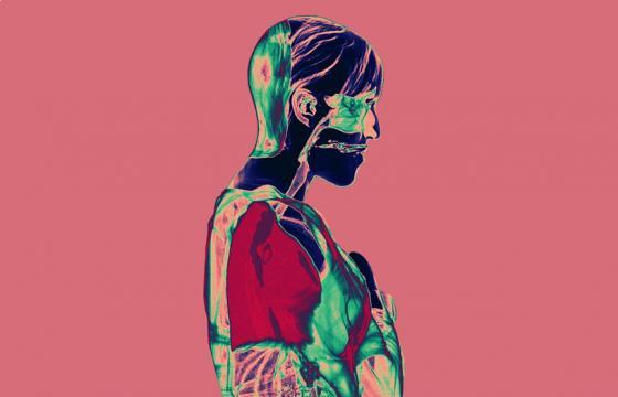 X-Ray Portrait Art by Xavier Lucchesi