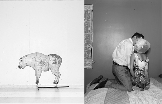 Alec Soth: Colorado Dispatch @ Denver Art Museum, Denver