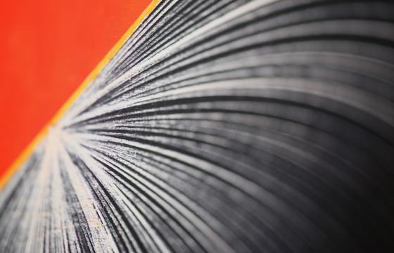 Feature: Moneyless, Documented in Los Angeles