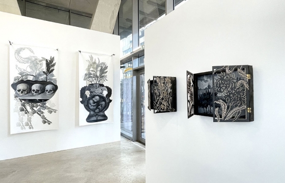 Grief Embodies Infinite Colors (A Coroner’s Wife): Luján Pérez in Paris