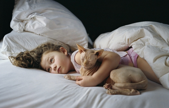 Best in Show: Pets in Contemporary Photography