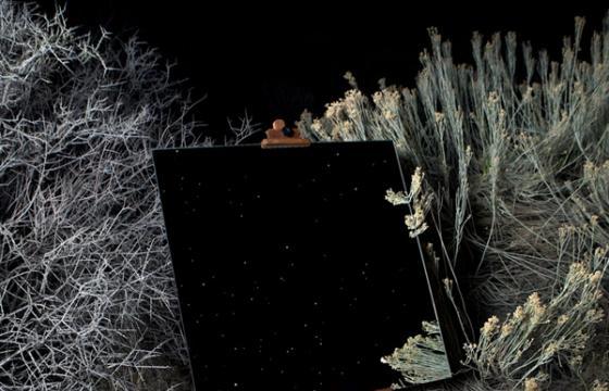 Daniel Kukla: The Edge Effect