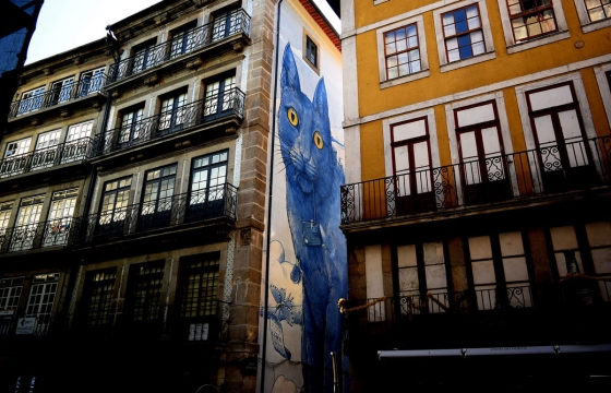 The Big Blue Cat: Liqen Paints an Homage on "the smallest street in Porto"