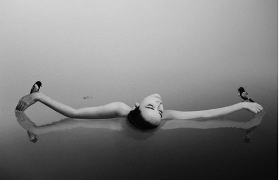 The work of Noell S. Oszvald