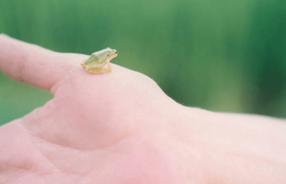 Book Review: Illuminance by Rinko Kawauchi