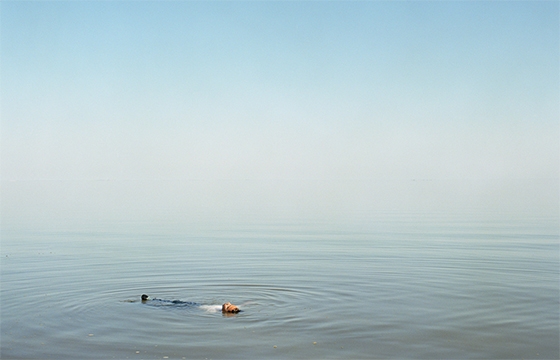 "Ron Jude: Lago" @ Gallery Luisotti