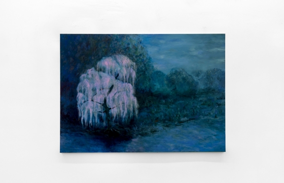 Coco Young &quot;Detour&quot; @ James Cope Gallery, Dallas