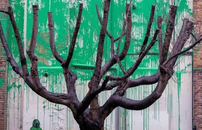 A Banksy Tree Grows in North London image