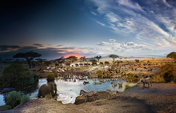 Stephen Wilkes's "Day to Night" in NY