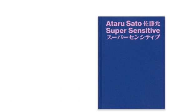Book Review: "Ataru Sato: Super Sensitive" (NSFW)