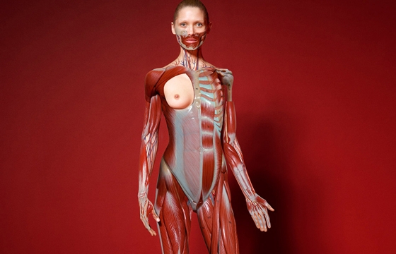 The Red Room by Cuneyt Akeroglu for Antidote Magazine (NSFW)