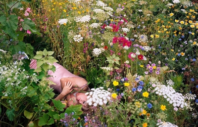 How a Once Abandoned Garden Became a Metaphor for the Human Heart image