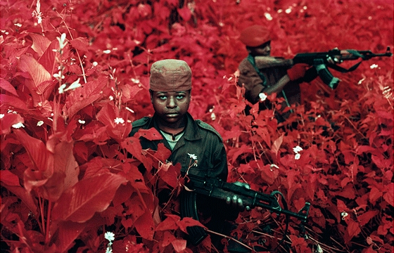 Using infrared film to capture "The Enclave" by Richard Mosse