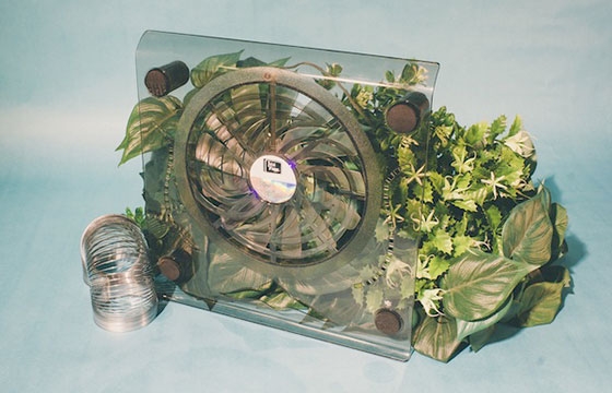 Still Lifes by Keegan Grandbois