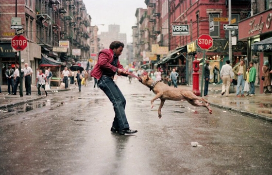 Trailer: "Everybody Street" directed by Cheryl Dunn