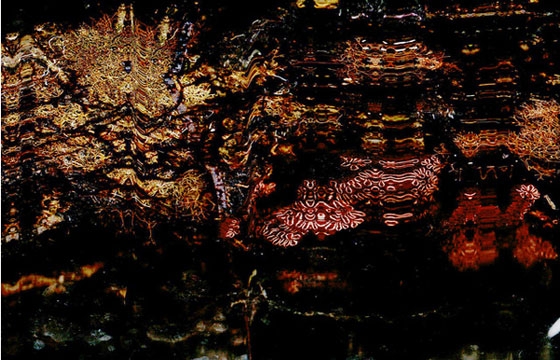 Scanning Below the Surface