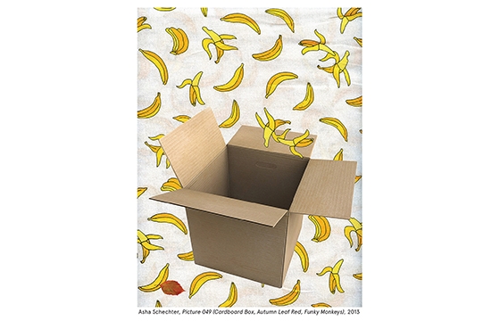 PRATT PHOTOGRAPHY LECTURES - Charlotte Cotton