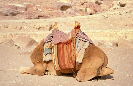 "One to Nothing" by Irina Rozovsky