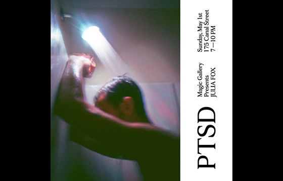 PTSD: A Visual Realization of the Displacement of the People of Louisiana