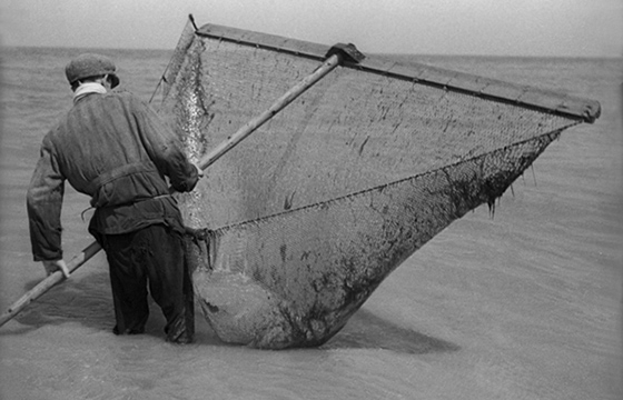 The World of Fred Stein @ Rosenberg & Co.