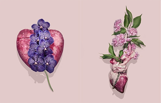 Fleur Viande by Ulysse & Darcoe