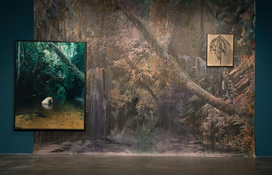 The work of Esther Teichmann