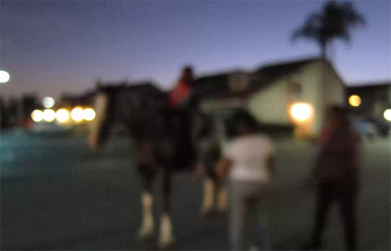 Sadie Bernette's "Superfecta" @ Charlie James Gallery