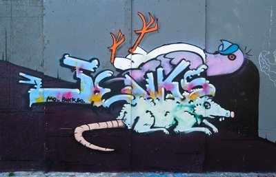 Scene Report: Bay Area image